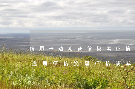 信用卡逾期征信變黑征信幾年更新-信用卡逾期征信變黑征信幾年更新一次