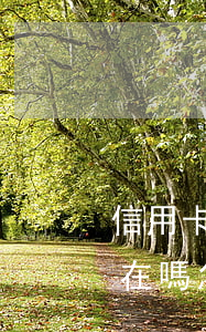 信用卡逾期征信還在嗎-信用卡逾期征信還在嗎怎么查