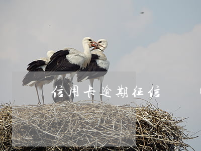 信用卡逾期征信還沒(méi)更新