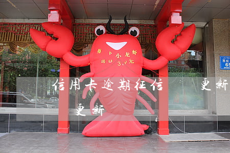 信用卡逾期征信還沒更新(信用卡逾期征信還沒更新)