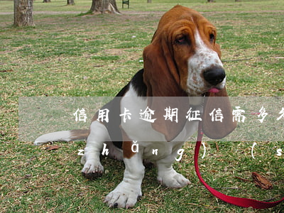 信用卡逾期征信需多久消除(征信逾期多長(zhǎng)時(shí)間可以消除)