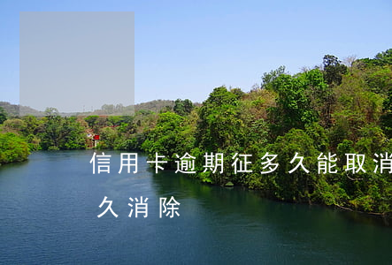 信用卡逾期征多久能取消(信用卡逾期征信多久消除)