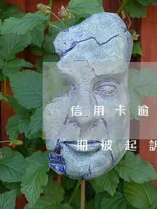 信用卡逾期很久也沒有起訴(有沒有信用卡逾期被起訴的)