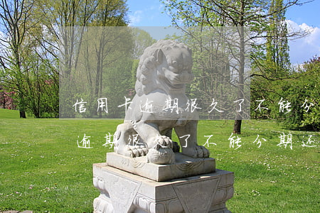信用卡逾期很久了不能分期还了吗-信用卡逾期很久了不能分期还了吗怎么办