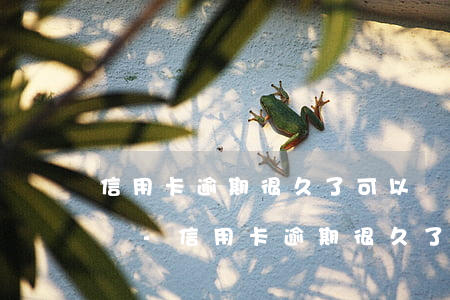 信用卡逾期很久了可以協(xié)商分期嗎-信用卡逾期很久了可以協(xié)商分期嗎