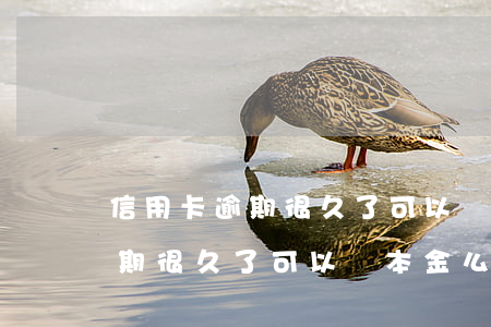 信用卡逾期很久了可以還本金么-信用卡逾期很久了可以還本金么嗎