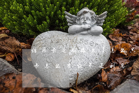 信用卡逾期很久了怎么只还本金(还逾期信用卡怎么才能不还利息)