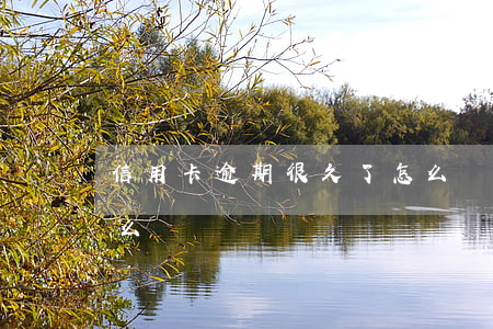 信用卡逾期很久了怎么辦(信用卡逾期很長怎么辦)