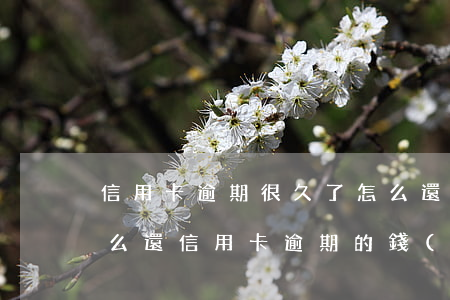信用卡逾期很久了怎么還錢(qián)(怎么還信用卡逾期的錢(qián))