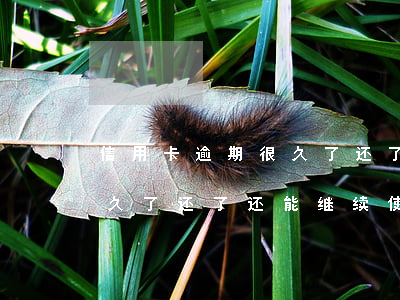 信用卡逾期很久了还了还能用吗(信用卡逾期久了还了还能继续使用吗)