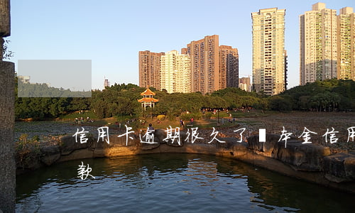 信用卡逾期很久了還本金(信用卡逾期很久還款)
