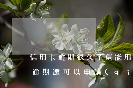 信用卡逾期很久了還能用嗎(有過(guò)逾期還可以申請(qǐng)信用卡嗎)