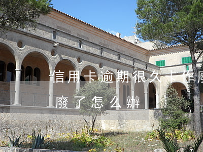 信用卡逾期很久卡作廢(信用卡逾期很久卡作廢了怎么辦)