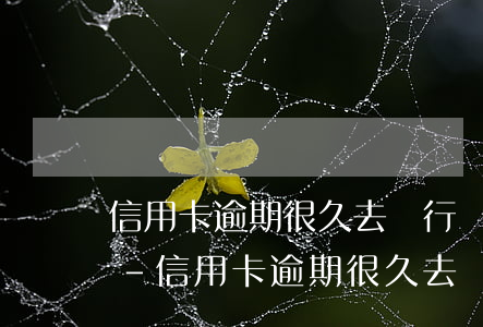 信用卡逾期很久去銀行辦儲(chǔ)蓄卡-信用卡逾期很久去銀行辦儲(chǔ)蓄卡有影響嗎