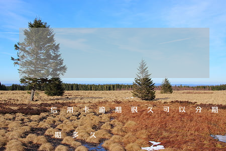 信用卡逾期很久可以分期嗎(分期最多可以逾期多久)