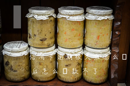 信用卡逾期很久后怎么還款 信用卡逾期很久后怎么還款不了