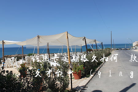 信用卡逾期很久如何還款(逾期過還清了過多久才能申請(qǐng)信用卡)