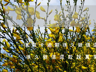 信用卡逾期很久微信還款說異常(信用卡逾期很久微信還款說異常)
