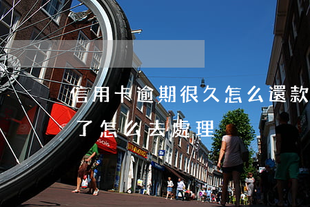 信用卡逾期很久怎么還款(信用卡逾期了還完了怎么去處理)