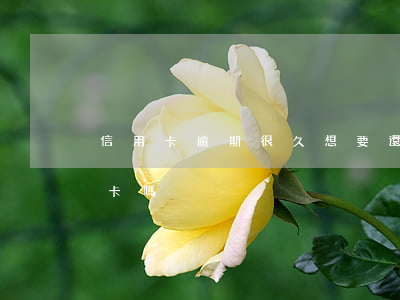 信用卡逾期很久想要還(逾期了還能申請信用卡嗎)