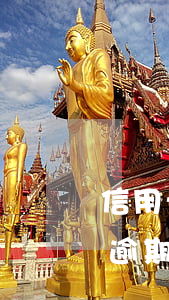 信用卡逾期很久想還款了該怎么弄-信用卡逾期很久想還款了該怎么弄呢