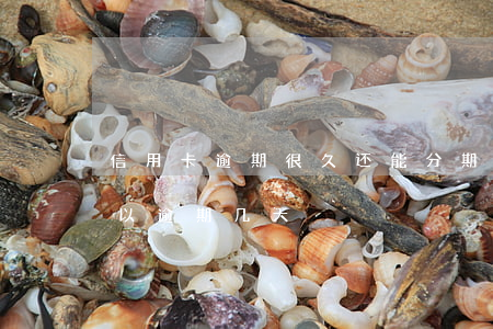 信用卡逾期很久还能分期还款吗(还信用卡可以逾期几天)