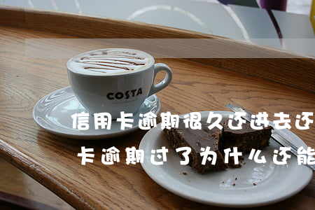信用卡逾期很久还进去还能用吗(以前用信用卡逾期过了为什么还能办信用卡)
