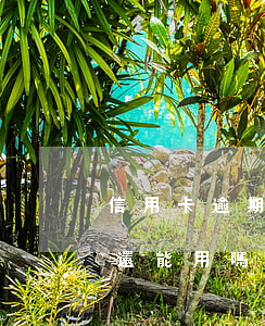 信用卡逾期很久還上還能用嗎(逾期過信用卡還能用嗎)