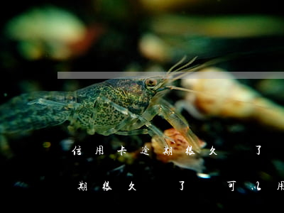 信用卡逾期很久還了還可以用嗎-信用卡逾期很久還了還可以用嗎