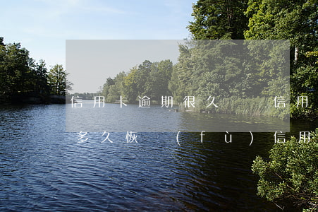 信用卡逾期很久銷戶(信用卡逾期還清銷戶后多久恢復(fù)信用)