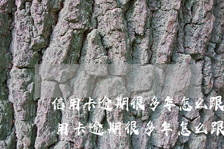信用卡逾期很多年怎么跟银行协商还款-信用卡逾期很多年怎么跟银行协商还款呢