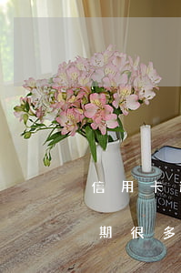 信用卡逾期很多次怎么把征信弄好(信用卡逾期很多次怎么把征信弄好)