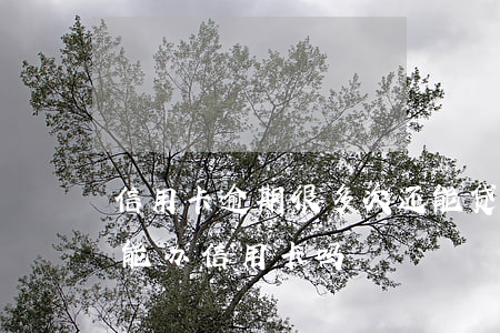 信用卡逾期很多次还能贷款吗-多次逾期还能办信用卡吗
