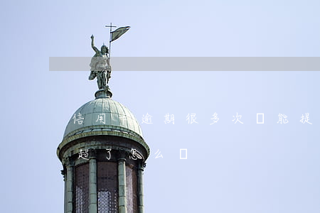信用卡逾期很多次還能提額嗎(還信用卡額度超了怎么辦)