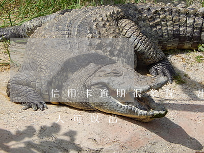 信用卡逾期很多耽誤出國么(有信用卡逾期的人,可以出國嗎)