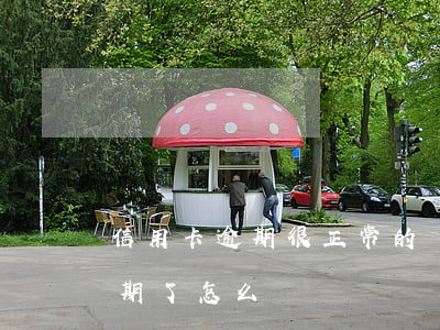 信用卡逾期很正常的嗎(2021年信用卡逾期了怎么辦)