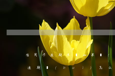 信用卡逾期很煩(如果說(shuō)信用卡逾期會(huì)怎么樣)