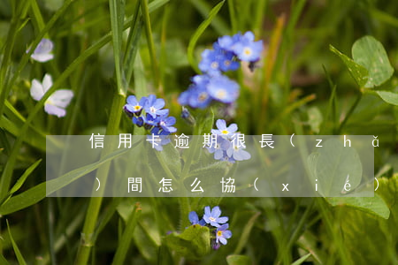 信用卡逾期很長(zhǎng)時(shí)間怎么協(xié)商解決-信用卡逾期很長(zhǎng)時(shí)間怎么協(xié)商解決問(wèn)題