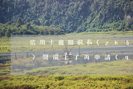 信用卡逾期很長(zhǎng)時(shí)間還上了再申請(qǐng)-逾期很久的信用卡還清了還能繼續(xù)用嗎?