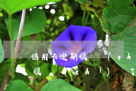 信用卡逾期很長時(shí)間(信用卡逾期很長時(shí)間了,銀行工作人員會不停的催收嗎)