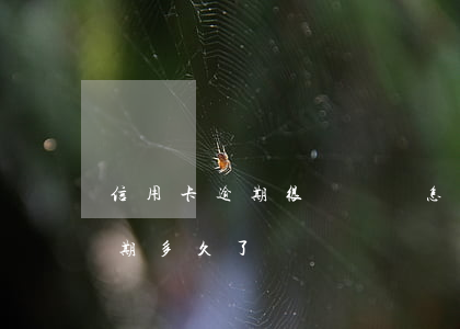 信用卡逾期很長時間怎么辦(你們的信用卡逾期多久了)