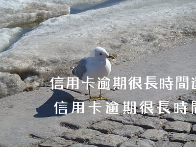 信用卡逾期很長時間,還了可以立即銷戶嗎-信用卡逾期很長時間,還了可以立即銷戶嗎