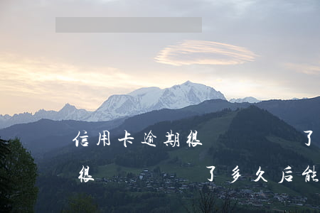 信用卡逾期很長時間還了多久后 信用卡逾期很長時間還了多久后能用