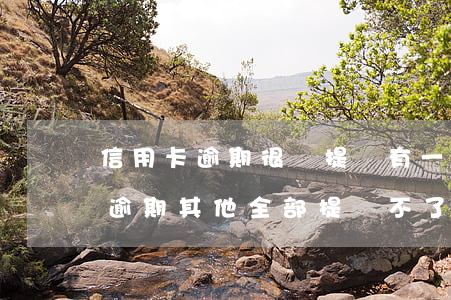 信用卡逾期很難提額(有一個(gè)信用卡逾期,其他全部提額不了?)