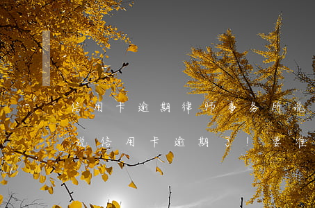 信用卡逾期律师事务所说报案(律师到家里来说信用卡逾期了!要准备立案)