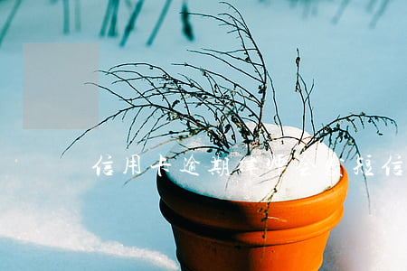 信用卡逾期律师会发短信催款吗