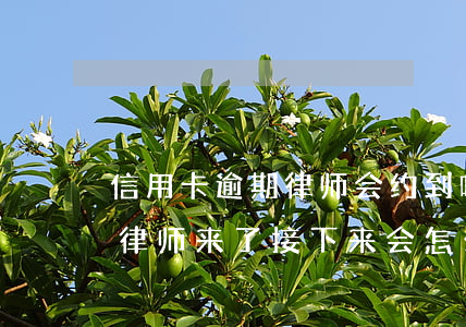 信用卡逾期律师会约到吗(信用卡逾期银行找律师来了接下来会怎么样)