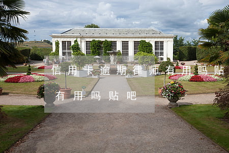 信用卡逾期律师有用吗贴吧(信用卡逾期律师有用吗贴吧)