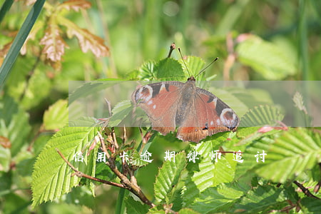 信用卡逾期律师追讨