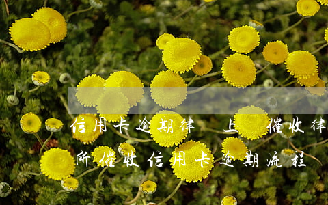 信用卡逾期律師上門催收(律師事務(wù)所催收信用卡逾期流程)